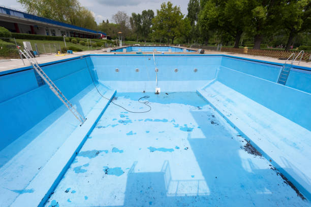 Best Water damage restoration process  in Nokomis, IL