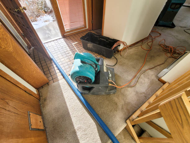 Best Water damage restoration near me  in Nokomis, IL