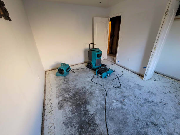 Professional Water damage restoration in Nokomis, IL