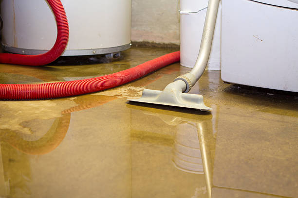 Trusted Nokomis, IL Water damage restoration Experts