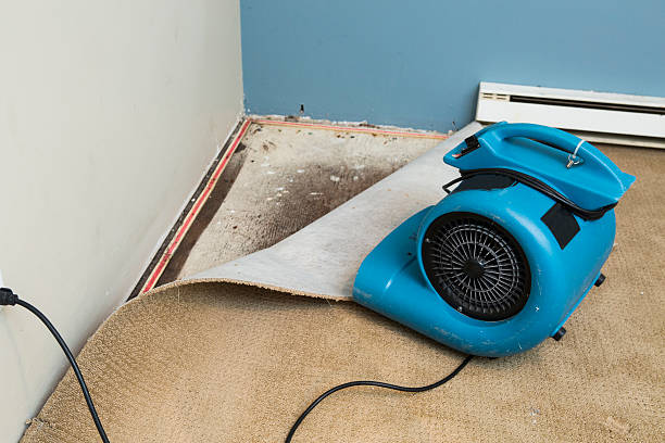 Best Fire Damage Restoration  in Nokomis, IL